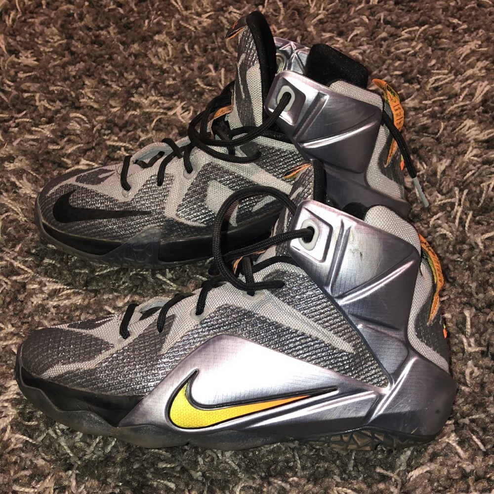 Lebron Basketball Shoes